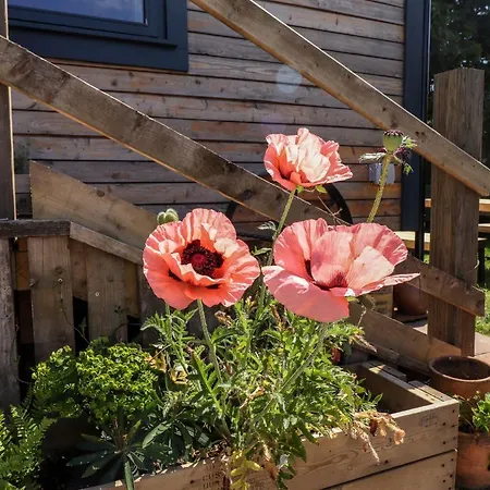 Ferienhaus Dunfell Shepherd's Hut